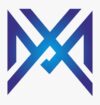 metalix